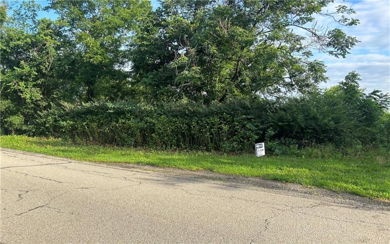 Lot 355 & 356 Floral Hill Drive, Washington, 15301, ,Farm-acreage-lot,For Sale,Floral Hill Drive,1711996