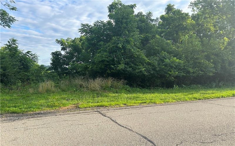 Lot 355 & 356 Floral Hill Drive, Washington, 15301, ,Farm-acreage-lot,For Sale,Floral Hill Drive,1711996