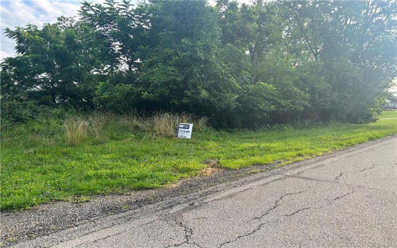 Lot 355 & 356 Floral Hill Drive, Washington, 15301, ,Farm-acreage-lot,For Sale,Floral Hill Drive,1711996
