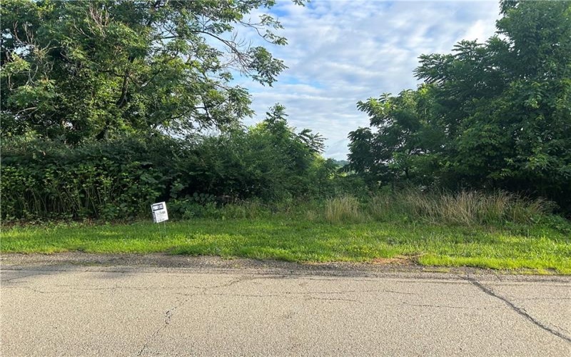 Lot 355 & 356 Floral Hill Drive, Washington, 15301, ,Farm-acreage-lot,For Sale,Floral Hill Drive,1711996