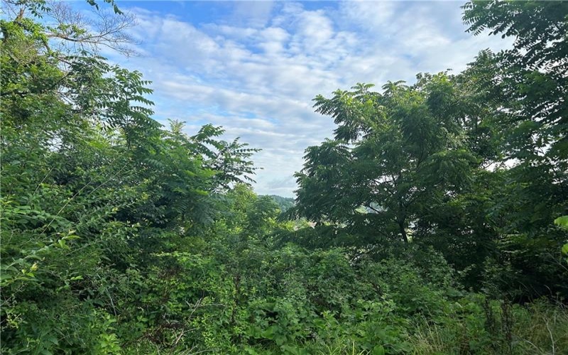 Lot 355 & 356 Floral Hill Drive, Washington, 15301, ,Farm-acreage-lot,For Sale,Floral Hill Drive,1711996