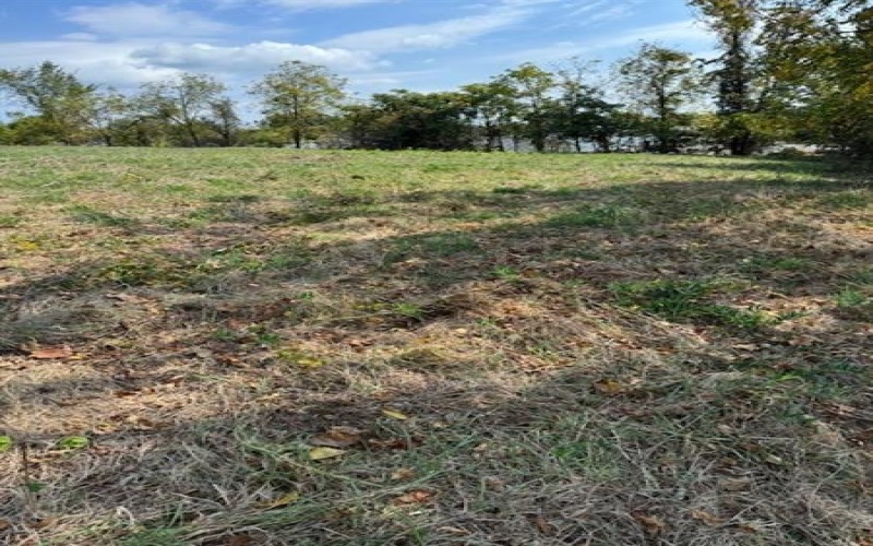 0 McGovern, Washington, 15301, ,Commercial-industrial-business,For Sale,McGovern,1722341