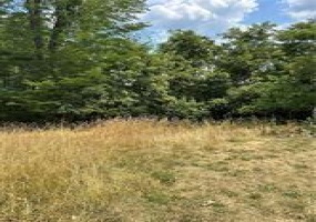 Lot 6 Wylie, Houston, 15342, ,Farm-acreage-lot,For Sale,None,Wylie,1712165