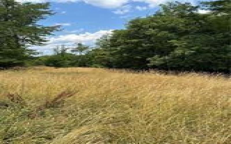Lot 6 Wylie, Houston, 15342, ,Farm-acreage-lot,For Sale,None,Wylie,1712165