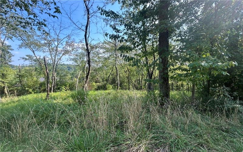 0 North Hills Road, Murrysville, 15668, ,Farm-acreage-lot,For Sale,North Hills Road,1722654