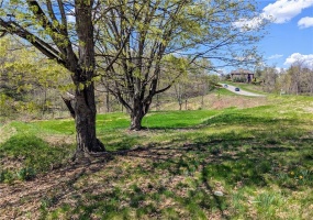 201 Camden Drive - Lot 308, Venetia, 15367, ,Farm-acreage-lot,For Sale,None,Camden Drive - Lot 308,1713077