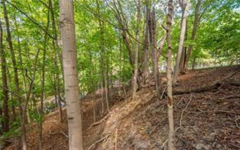 0 Piersol Avenue, Bentleyville, 15317, ,Farm-acreage-lot,For Sale,none,Piersol Avenue,1722979