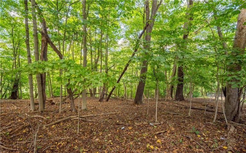 0 Piersol Avenue, Bentleyville, 15317, ,Farm-acreage-lot,For Sale,none,Piersol Avenue,1722979