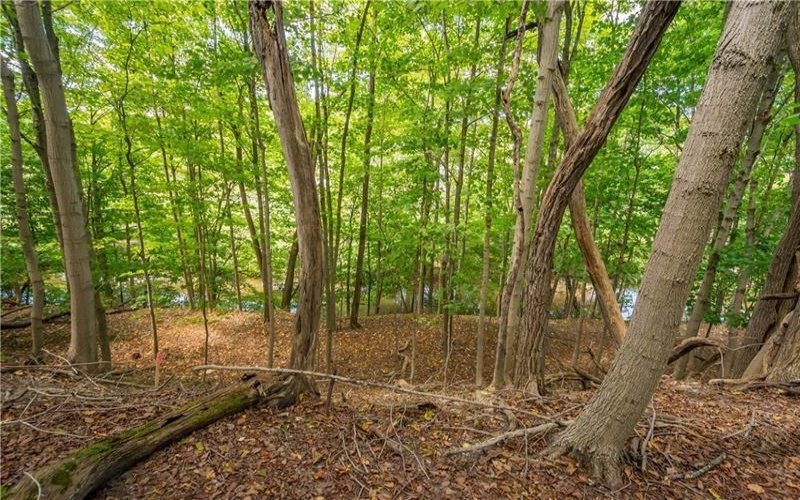 0 Piersol Avenue, Bentleyville, 15317, ,Farm-acreage-lot,For Sale,none,Piersol Avenue,1722979