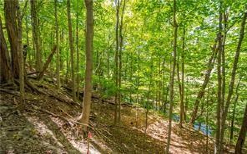 0 Piersol Avenue, Bentleyville, 15317, ,Farm-acreage-lot,For Sale,none,Piersol Avenue,1722979