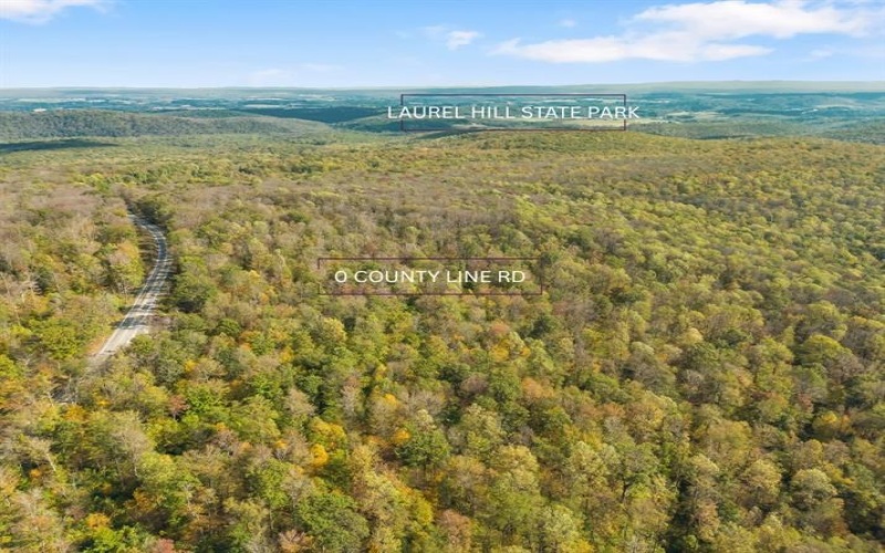 0000 County Line Rd, Champion, 15622, ,Farm-acreage-lot,For Sale,County Line Rd,1722990
