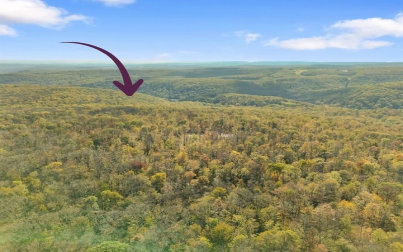 0000 County Line Rd, Champion, 15622, ,Farm-acreage-lot,For Sale,County Line Rd,1722990