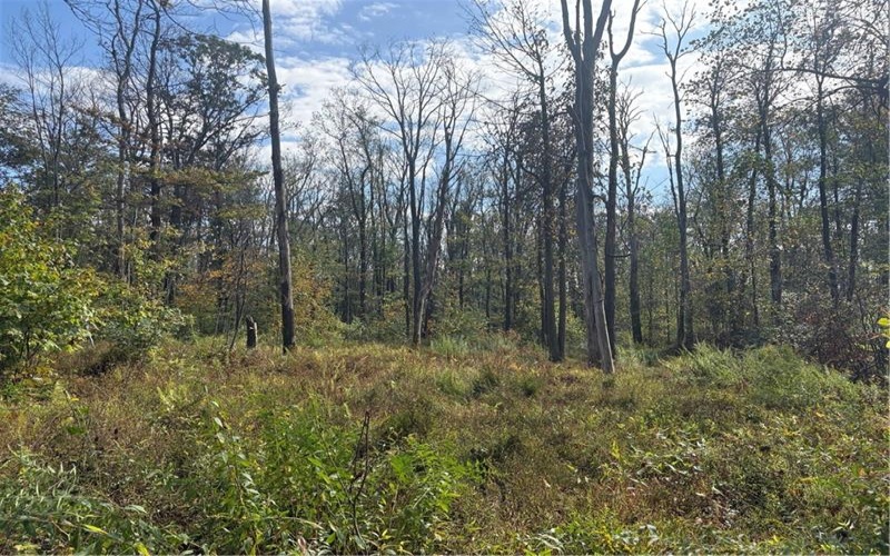 0000 County Line Rd, Champion, 15622, ,Farm-acreage-lot,For Sale,County Line Rd,1722990