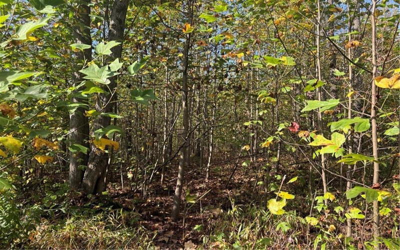 0000 County Line Rd, Champion, 15622, ,Farm-acreage-lot,For Sale,County Line Rd,1722990