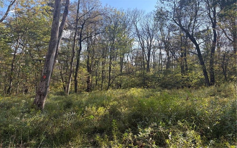 0000 County Line Rd, Champion, 15622, ,Farm-acreage-lot,For Sale,County Line Rd,1722990