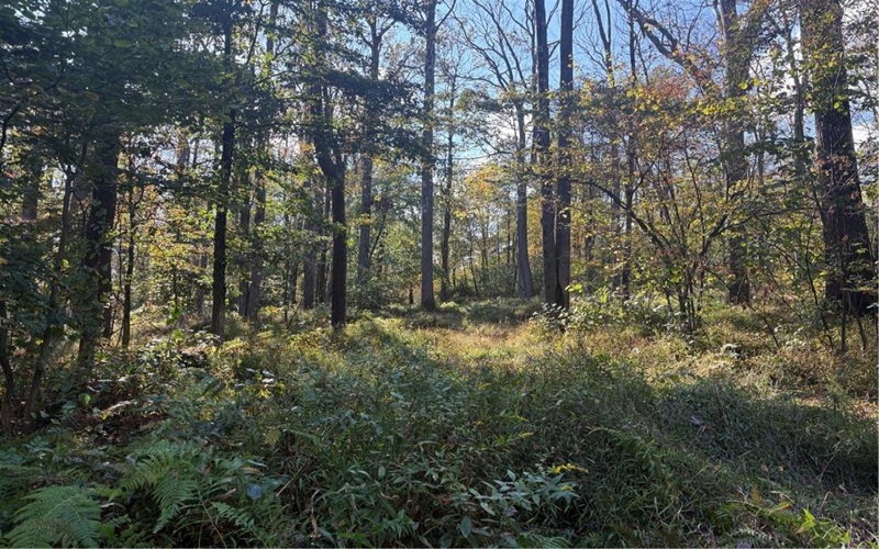 0000 County Line Rd, Champion, 15622, ,Farm-acreage-lot,For Sale,County Line Rd,1722990