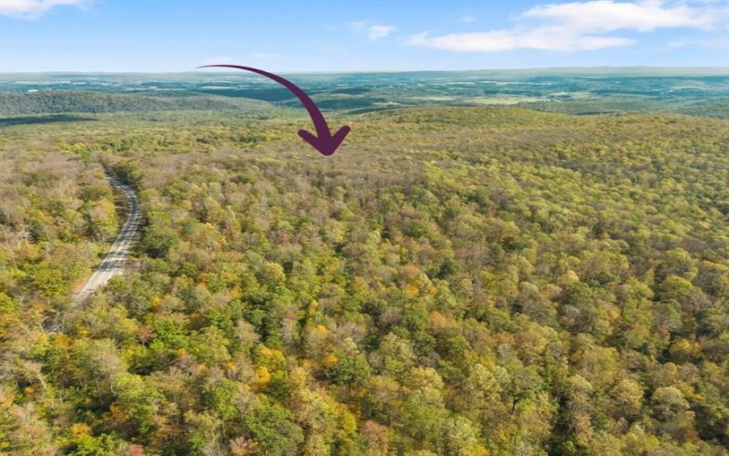 0000 County Line Rd, Champion, 15622, ,Farm-acreage-lot,For Sale,County Line Rd,1722990