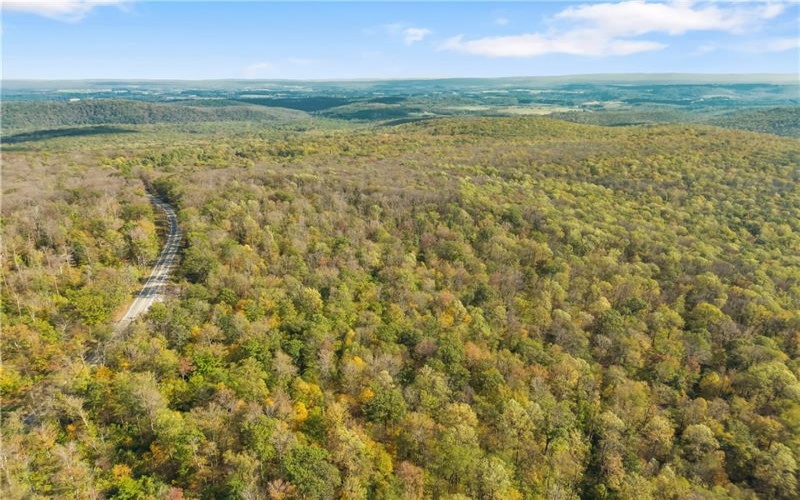 0000 County Line Rd, Champion, 15622, ,Farm-acreage-lot,For Sale,County Line Rd,1722990