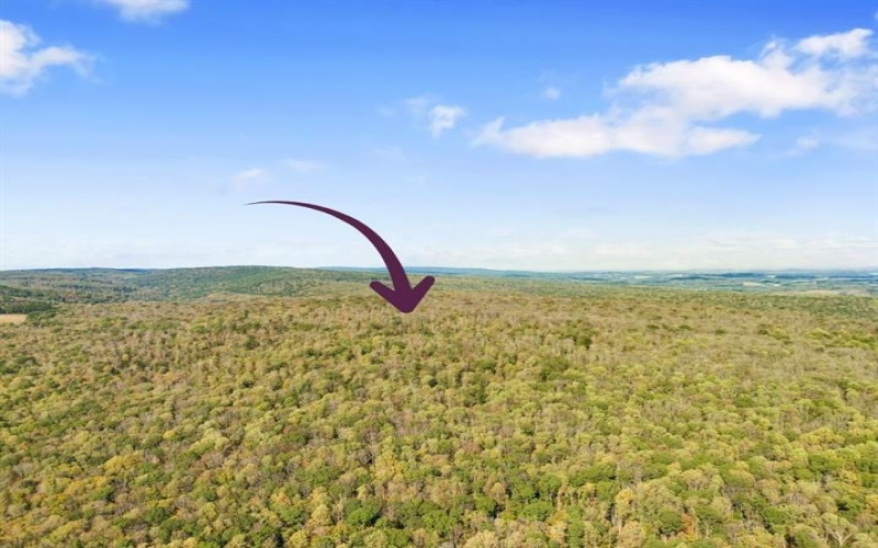 0000 County Line Rd, Champion, 15622, ,Farm-acreage-lot,For Sale,County Line Rd,1722990