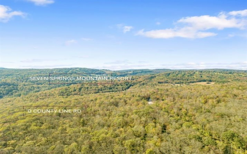 0000 County Line Rd, Champion, 15622, ,Farm-acreage-lot,For Sale,County Line Rd,1722990