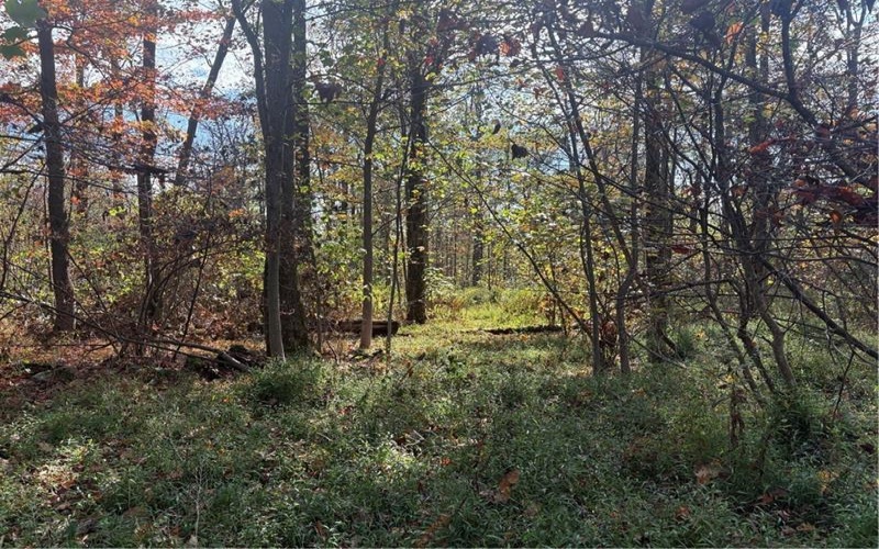 0000 County Line Rd, Champion, 15622, ,Farm-acreage-lot,For Sale,County Line Rd,1722990