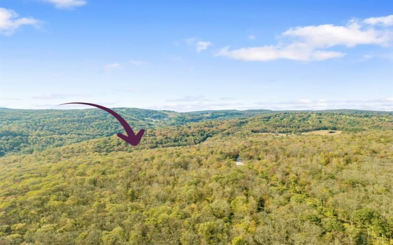 0000 County Line Rd, Champion, 15622, ,Farm-acreage-lot,For Sale,County Line Rd,1722990