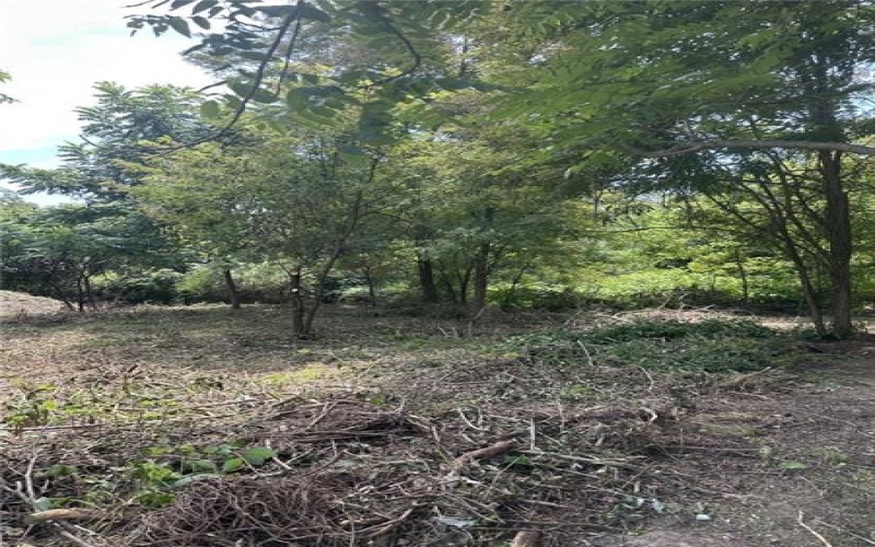 Lot #4 Ann Marie Ct, Export, 15632, ,Farm-acreage-lot,For Sale,Ann Marie Ct,1713655