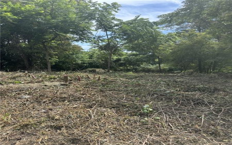Lot #4 Ann Marie Ct, Export, 15632, ,Farm-acreage-lot,For Sale,Ann Marie Ct,1713655