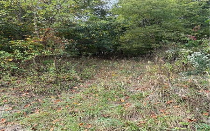 000 Bentleyville Rd, Charleroi, 15022, ,Farm-acreage-lot,For Sale,Bentleyville Rd,1723295