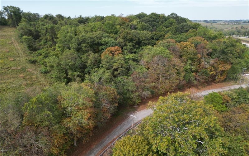 000 Bentleyville Rd, Charleroi, 15022, ,Farm-acreage-lot,For Sale,Bentleyville Rd,1723295