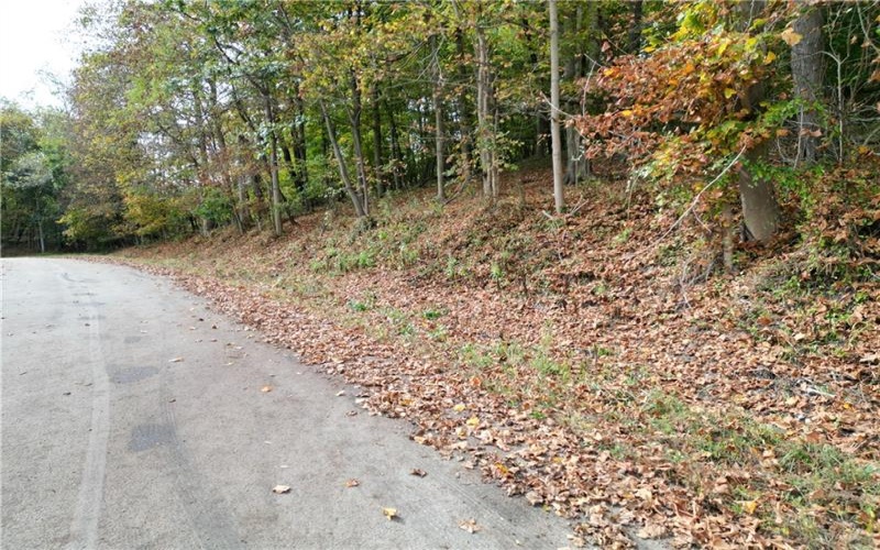 000 Bentleyville Rd, Charleroi, 15022, ,Farm-acreage-lot,For Sale,Bentleyville Rd,1723295