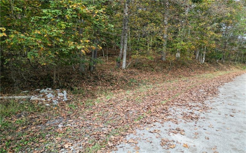 000 Bentleyville Rd, Charleroi, 15022, ,Farm-acreage-lot,For Sale,Bentleyville Rd,1723295