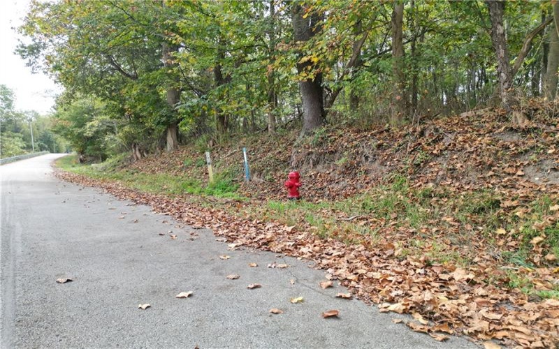 000 Bentleyville Rd, Charleroi, 15022, ,Farm-acreage-lot,For Sale,Bentleyville Rd,1723295
