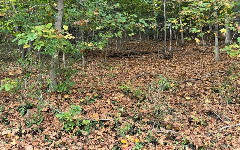 000 Bentleyville Rd, Charleroi, 15022, ,Farm-acreage-lot,For Sale,Bentleyville Rd,1723295