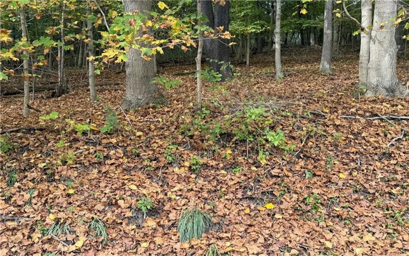 000 Bentleyville Rd, Charleroi, 15022, ,Farm-acreage-lot,For Sale,Bentleyville Rd,1723295