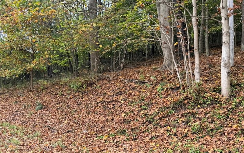 000 Bentleyville Rd, Charleroi, 15022, ,Farm-acreage-lot,For Sale,Bentleyville Rd,1723295