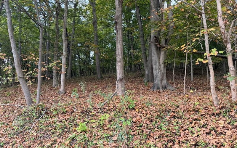 000 Bentleyville Rd, Charleroi, 15022, ,Farm-acreage-lot,For Sale,Bentleyville Rd,1723295