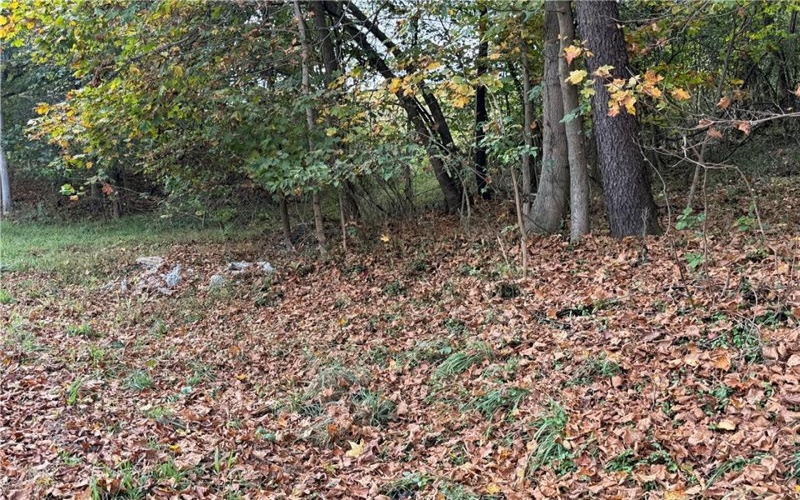000 Bentleyville Rd, Charleroi, 15022, ,Farm-acreage-lot,For Sale,Bentleyville Rd,1723295