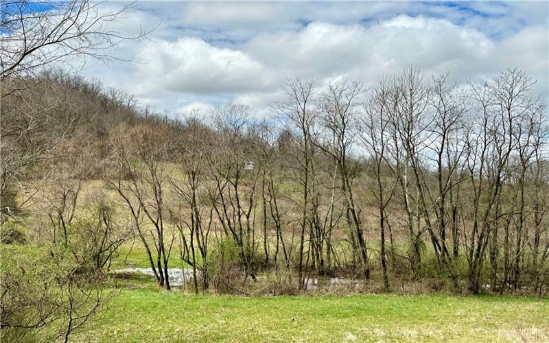 00 Hathaway Road, Jefferson, 15370, 1 Bedroom Bedrooms, 3 Rooms Rooms,Residential,For Sale,Hathaway Road,1714111