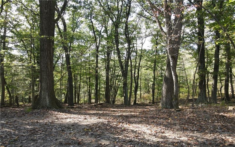00 Harrold St (Parcel B), Jeannette, 15644, ,Farm-acreage-lot,For Sale,Harrold St (Parcel B),1723414