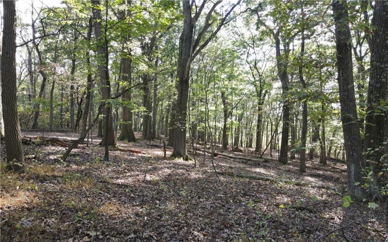 00 Harrold St (Parcel B), Jeannette, 15644, ,Farm-acreage-lot,For Sale,Harrold St (Parcel B),1723414