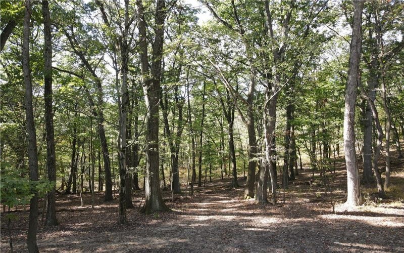 00 Harrold St (Parcel B), Jeannette, 15644, ,Farm-acreage-lot,For Sale,Harrold St (Parcel B),1723414