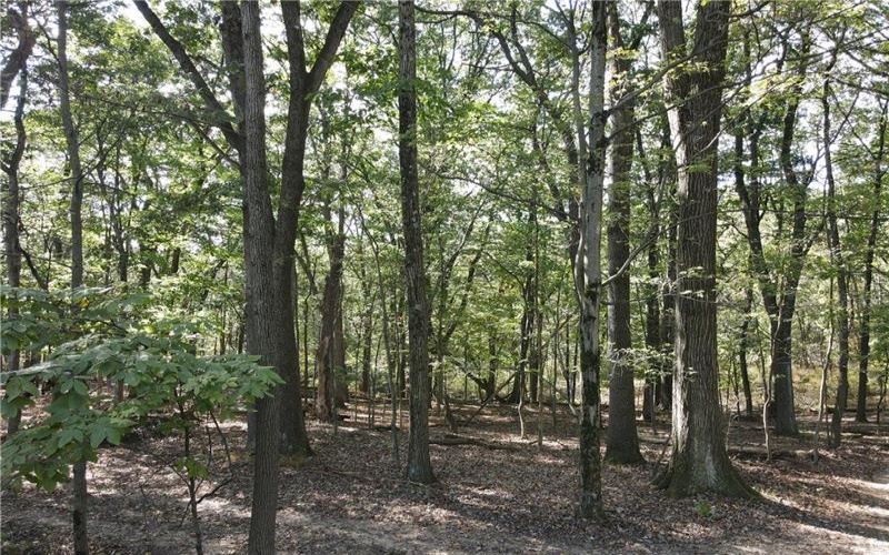 00 Harrold St (Parcel B), Jeannette, 15644, ,Farm-acreage-lot,For Sale,Harrold St (Parcel B),1723414