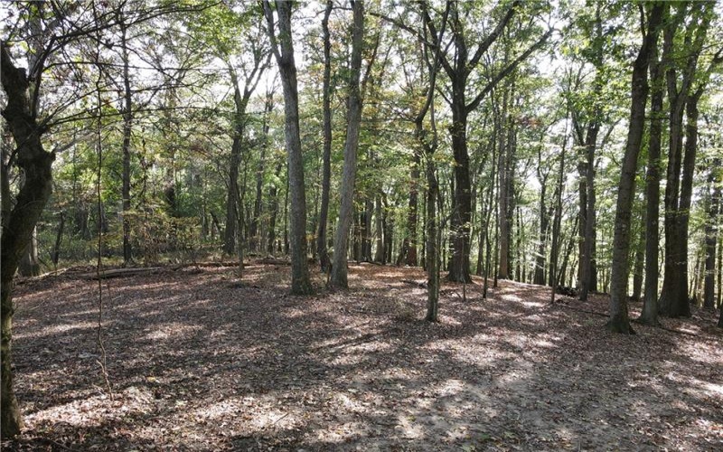 00 Harrold St (Parcel B), Jeannette, 15644, ,Farm-acreage-lot,For Sale,Harrold St (Parcel B),1723414