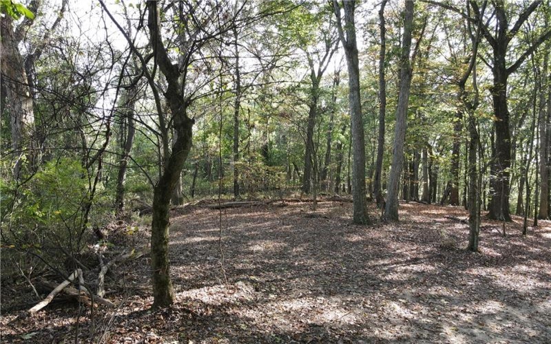 00 Harrold St (Parcel B), Jeannette, 15644, ,Farm-acreage-lot,For Sale,Harrold St (Parcel B),1723414