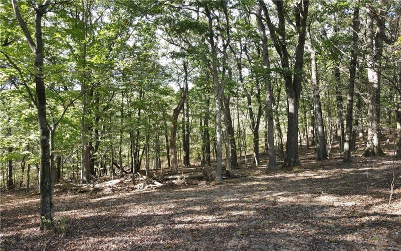 00 Harrold St (Parcel B), Jeannette, 15644, ,Farm-acreage-lot,For Sale,Harrold St (Parcel B),1723414
