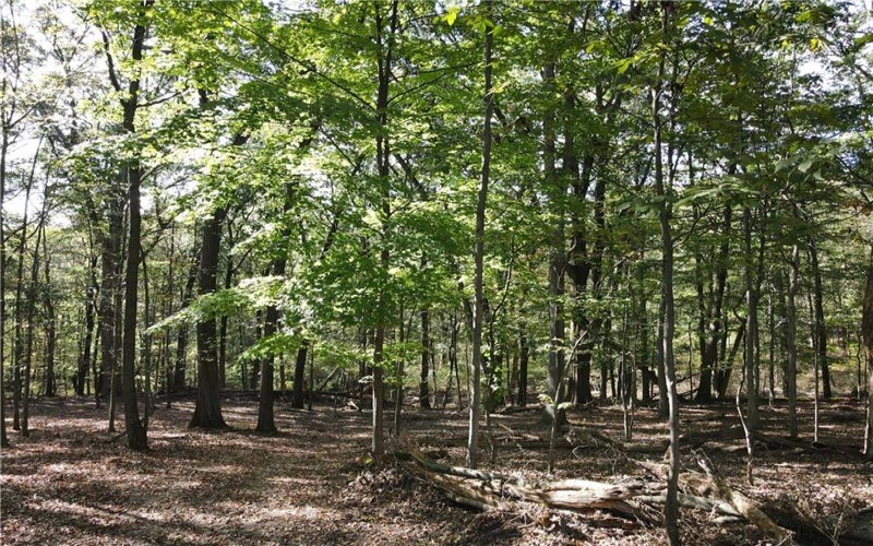00 Harrold St (Parcel B), Jeannette, 15644, ,Farm-acreage-lot,For Sale,Harrold St (Parcel B),1723414