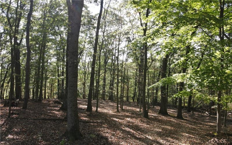 00 Harrold St (Parcel B), Jeannette, 15644, ,Farm-acreage-lot,For Sale,Harrold St (Parcel B),1723414