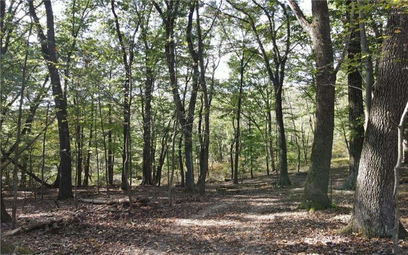 00 Harrold St (Parcel B), Jeannette, 15644, ,Farm-acreage-lot,For Sale,Harrold St (Parcel B),1723414
