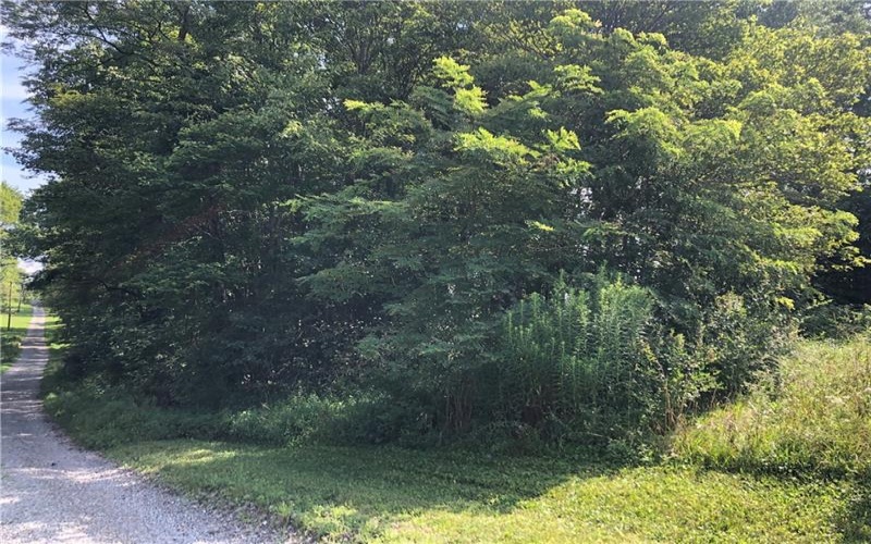 230 LOCUST ROAD, Addison, 15411, 2 Bedrooms Bedrooms, 7 Rooms Rooms,1 BathroomBathrooms,Residential,For Sale,LOCUST ROAD,1714667